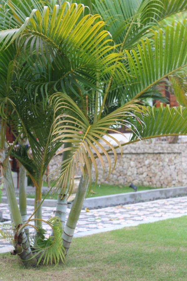 Gepah Garden Cottage Nusa Penida Zewnętrze zdjęcie